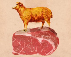 suggest